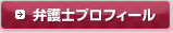 弁護士プロフィール