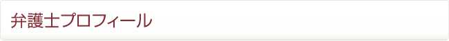 弁護士プロフィール